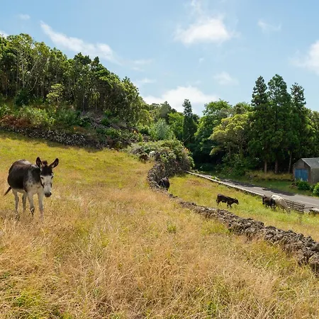 Nyaraló Casa Da Figueirinha Calheta de Nesquim