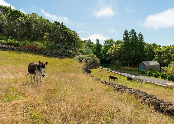 Nyaraló Casa Da Figueirinha Calheta de Nesquim