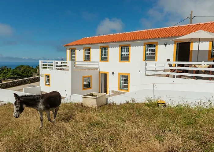 Casa Da Figueirinha Holiday home